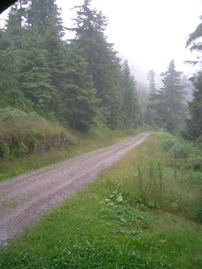 DSCN1880