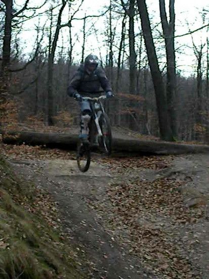 NDVD 1533Kopie