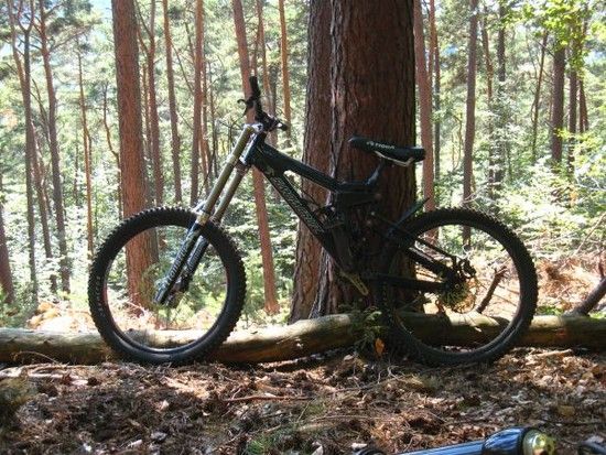 Santa Cruz V10 classic