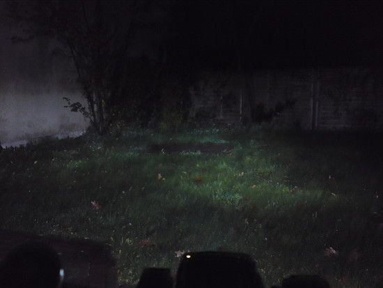 DSC01554