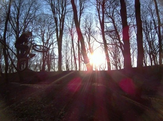 Prinzenpark 07