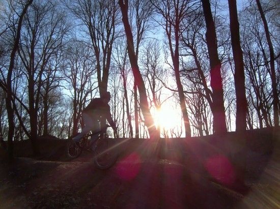 Prinzenpark 08