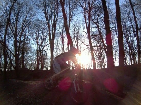 Prinzenpark 09