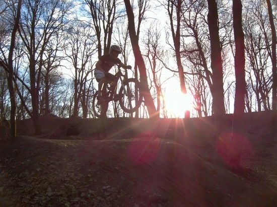 Prinzenpark 14