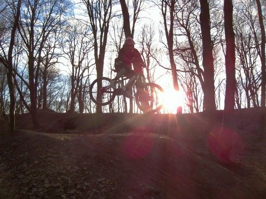 Prinzenpark 15
