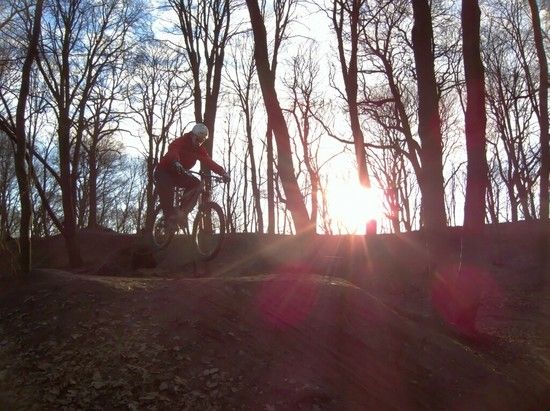 Prinzenpark 16