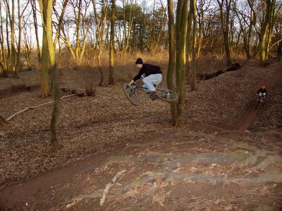 Prinzenpark 17