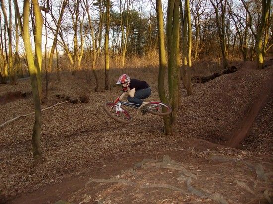 Prinzenpark 19