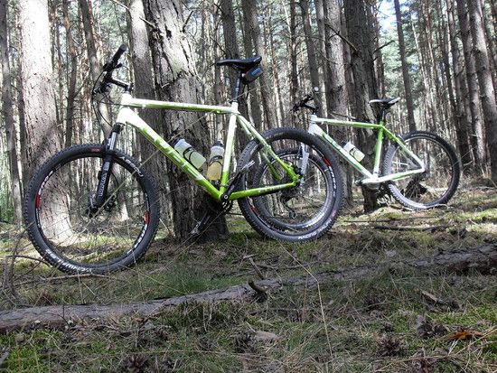 Hessische Wälder in Milky Green &amp; White Candy Green