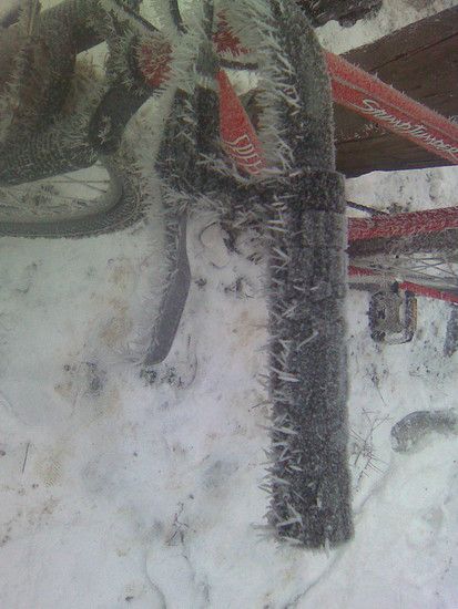 War der Winter Kalt