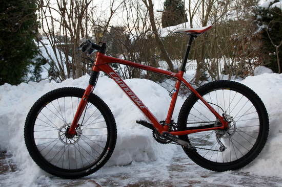 IMG 7949DB2010-02-141