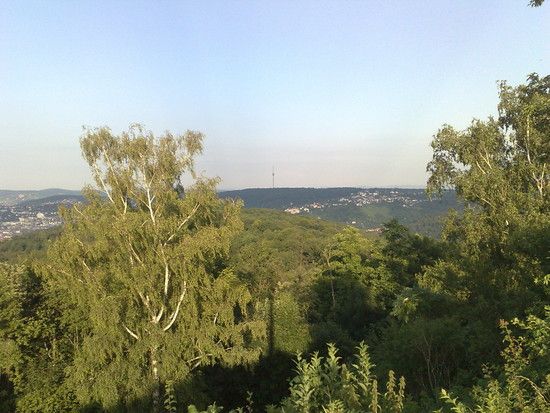 160720106099