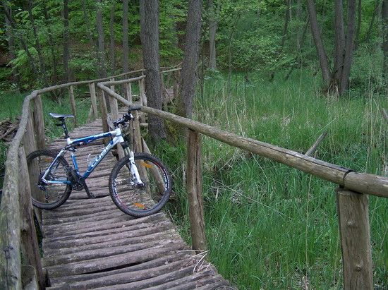 14.05.2010 NeumuehlerSee 02