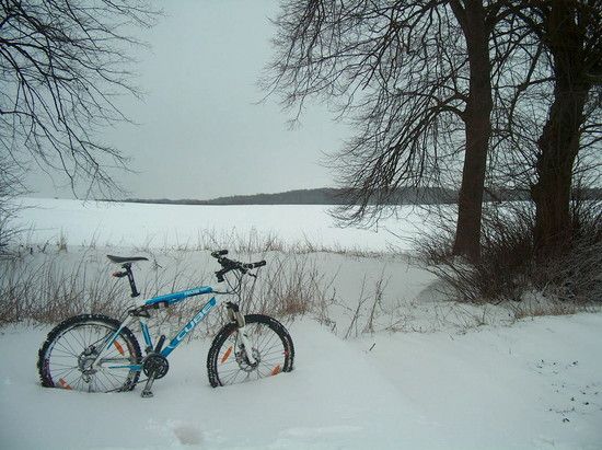 Shimano SLX Fahrradständer