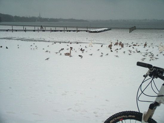11.01.10 Schweriner Innensee 2