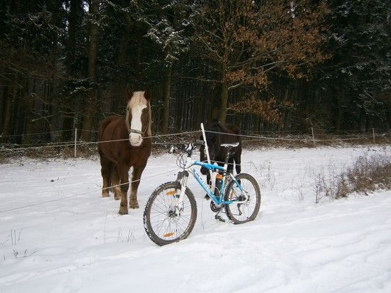 Winterfahrrad 2012-Jan-29  4