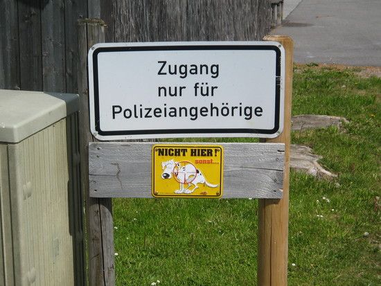 IMG 2871