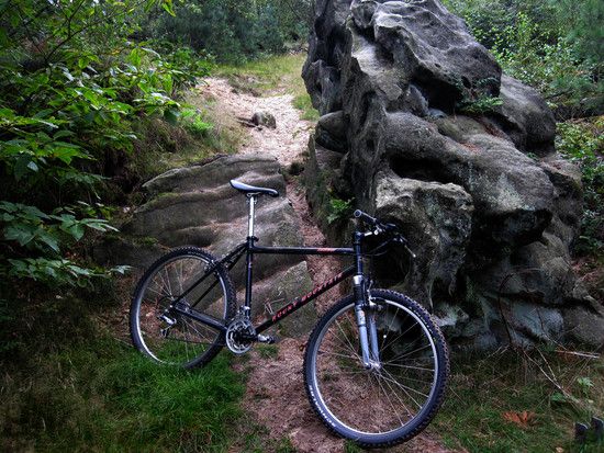 Trailicious