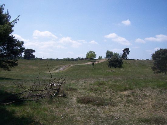 Westruper Heide 2