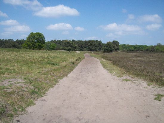 Westruper Heide 1