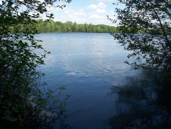 Hallerey