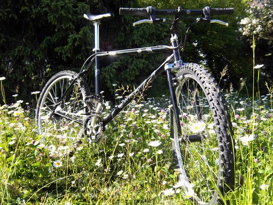 privateer01