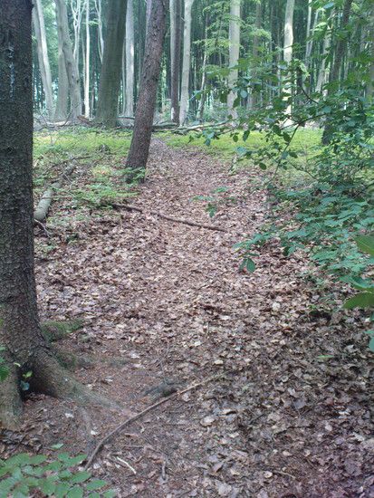 DSC00233