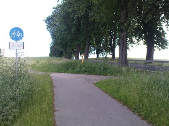 DSC00260