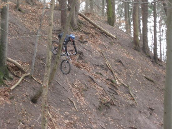 IMG 3668