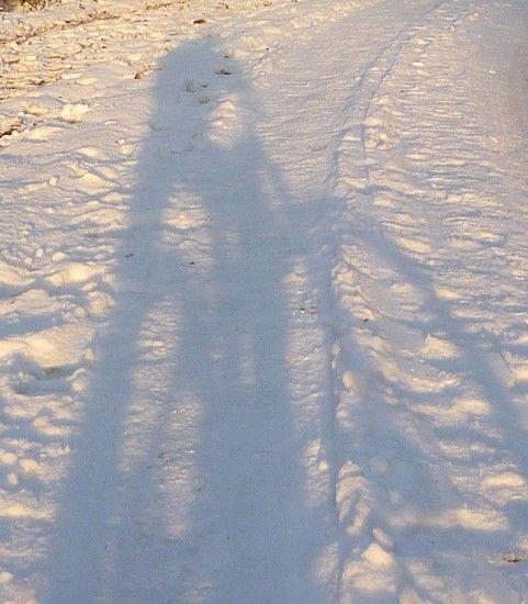 Yeti