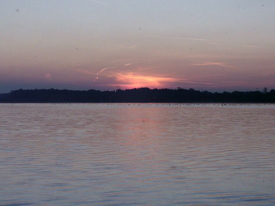 Am Cospudener See