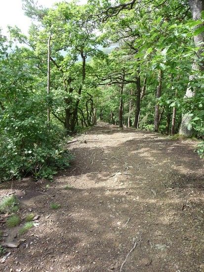 trail2