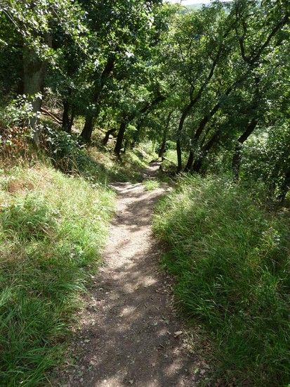 trail3