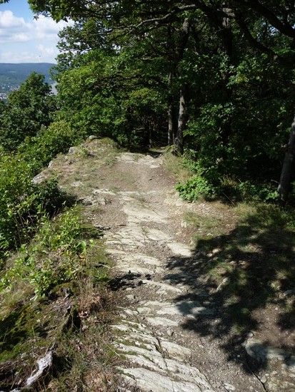 trail4