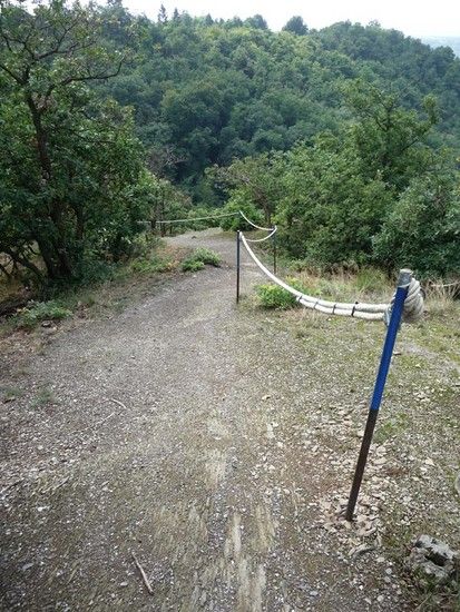 trail5