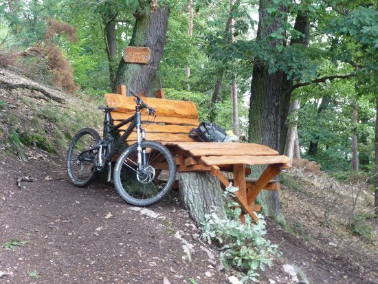 wellnessimwald