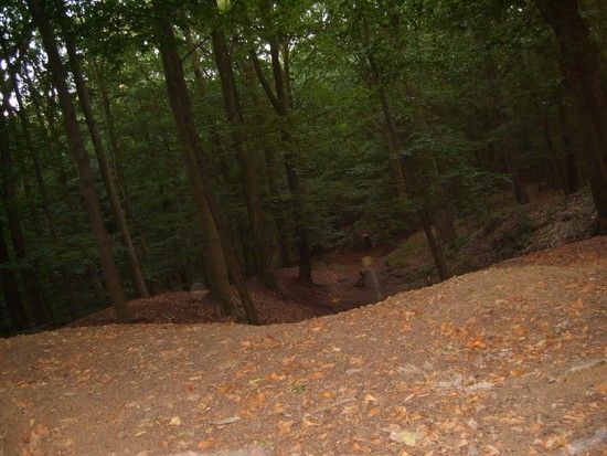 Downhill