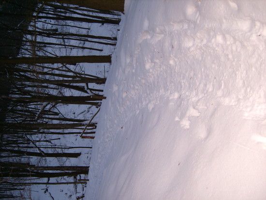 Snowtrails