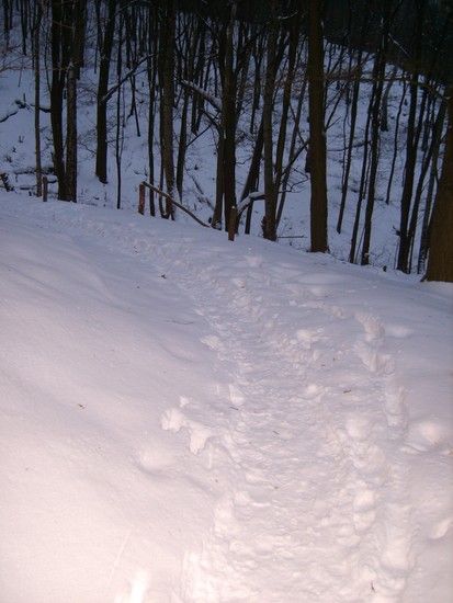 Snowtrails 1264962002