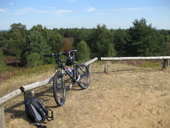 heide10
