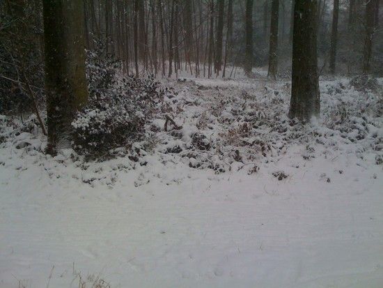 IMG 0652