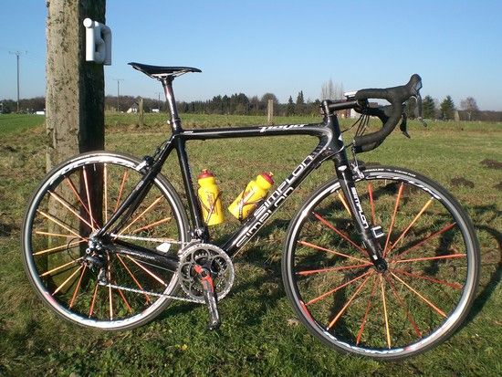 Simplon Pavo