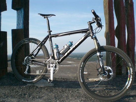 Stevens Manic