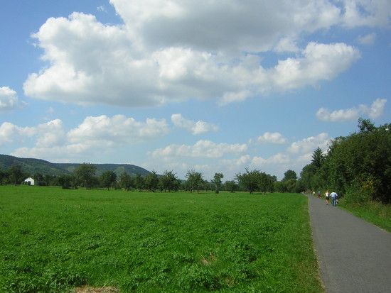 Auf dem Main-Radweg (Würzburg Richtung Karlstadt) 2