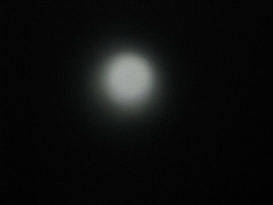 IMG 0305