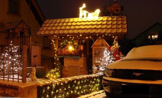 MustangWinter