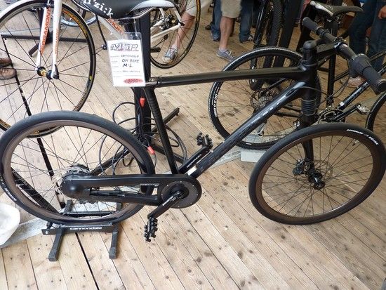 P1000193 lusiges Rad 140810