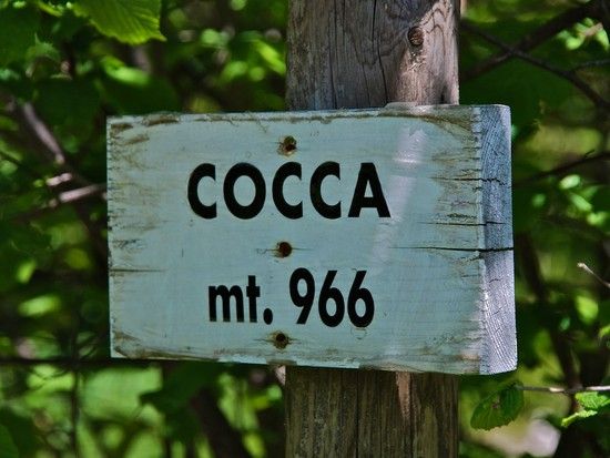 03 MI 06cocca