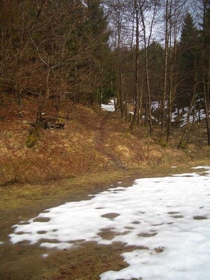 CIMG2509