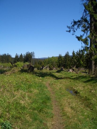 CIMG2892